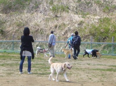 5/5ｗｅｌｉｎａｄｏｇｐａｒｋ