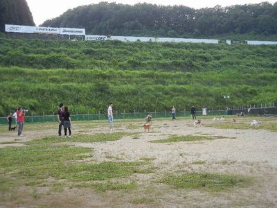 7/17ｗｅｌｉｎａｄｏｇｐａｒｋ