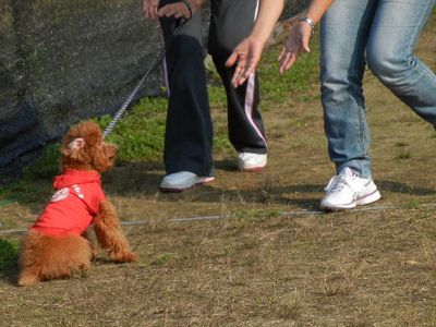 運動会