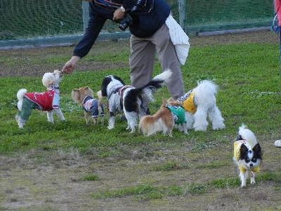 10/29ｗｅｌｉｎａｄｏｇｐａｒｋ