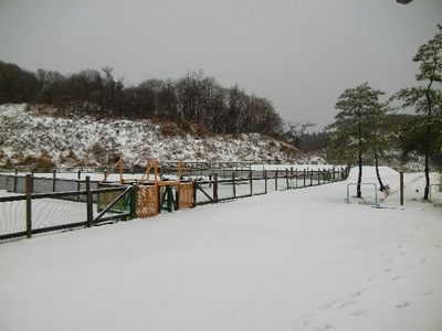 12/10ｗｅｌｉｎａｄｏｇｐａｒｋ