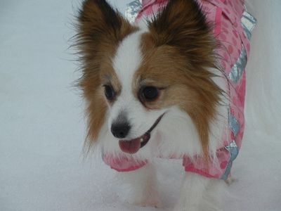 2012-0318-8.JPG