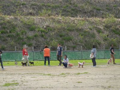 4/29ｗｅｌｉｎａｄｏｇｐａｒｋ
