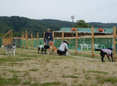 6/2ｗｅｌｉｎａｄｏｇｐａｒｋ