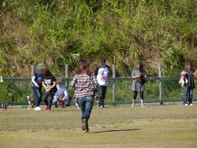 ワンワン運動会