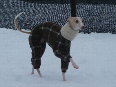 くーちゃん