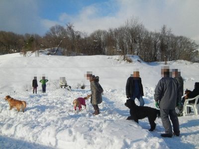 1/20ｗｅｌｉｎａｄｏｇｐａｒｋ