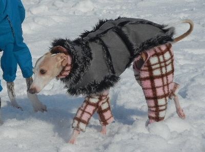 くーちゃん