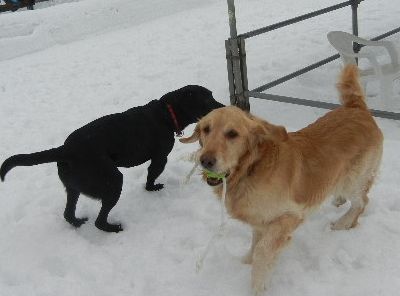 1/29ｗｅｌｉｎａｄｏｇｐａｒｋ