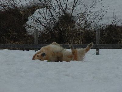 リックくん