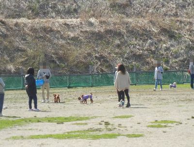 4/13ｗｅｌｉｎａｄｏｇｐａｒｋ