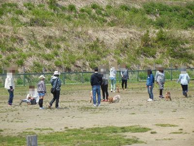 5/5ｗｅｌｉｎａｄｏｇｐａｒｋ