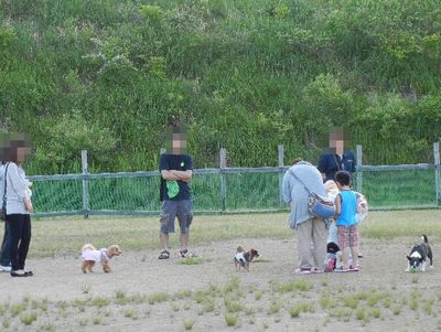 6/2ｗｅｌｉｎａｄｏｇｐａｒｋ