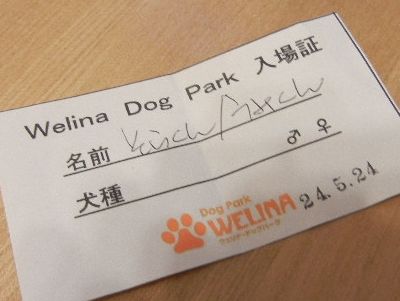 6/4ｗｅｌｉｎａｄｏｇｐａｒｋ