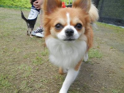 6/23ｗｅｌｉｎａｄｏｇｐａｒｋ