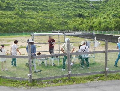6/30ｗｅｌｉｎａｄｏｇｐａｒｋ