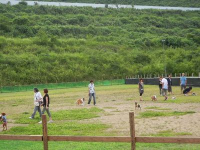 8/4ｗｅｌｉｎａｄｏｇｐａｒｋ