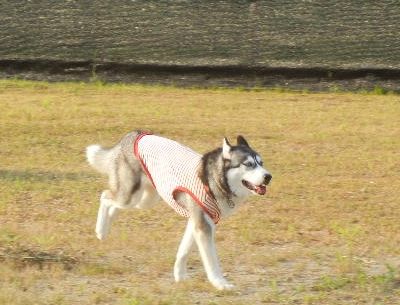 アグリちゃん