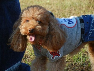 10/13ｗｅｌｉｎａｄｏｇｐａｒｋ
