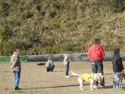 11/9ｗｅｌｉｎａｄｏｇｐａｒｋ
