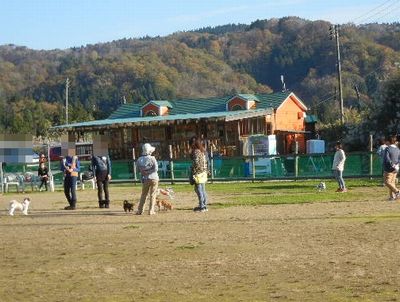 11/17ｗｅｌｉｎａｄｏｇｐａｒｋ