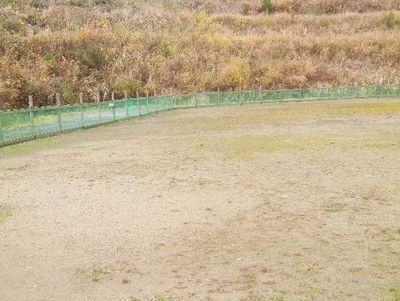 11/27ｗｅｌｉｎａｄｏｇｐａｒｋ