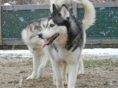 1/5ｗｅｌｉｎａｄｏｇｐａｒｋ