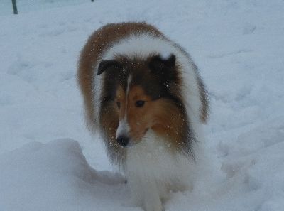 1/13ｗｅｗｌｉｎａｄｏｇｐａｒｋ