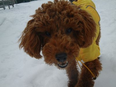 1/25ｗｅｌｉｎａｄｏｇｐａｒｋ