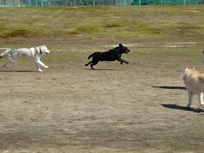 DSC07467.JPG