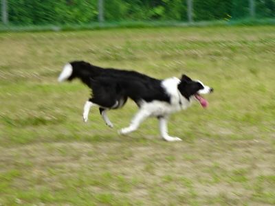 DSC07691.JPG