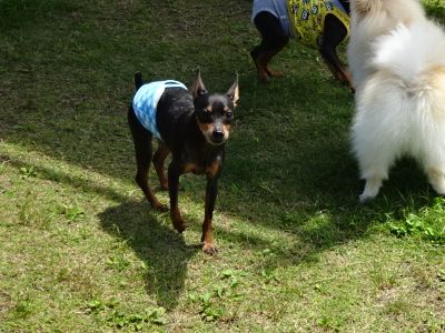 DSC07704.JPG