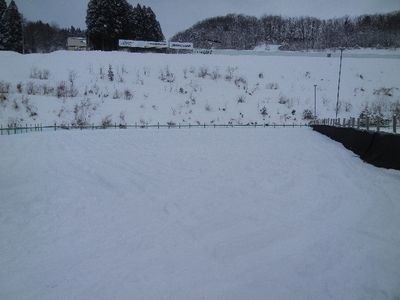 ２６ｗｅｌｉｎａｄｏｇｐａｒｋ