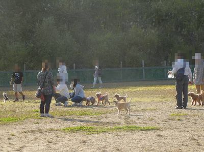 welina-dogpark