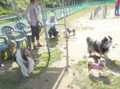 welina-dogpark