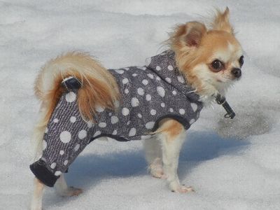 welina-dogpark