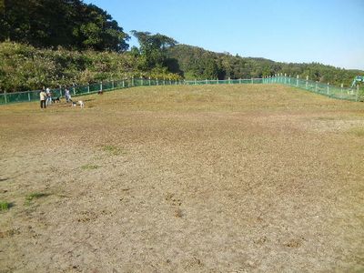welina-dogpark
