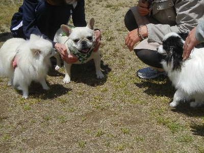 welina-dogpark