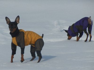 welina-dogpark