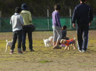 welina-dogpark