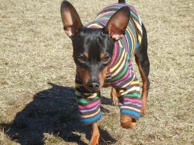 welina-dogpark