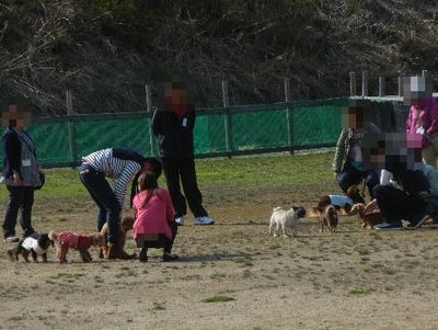 welina-dogpark