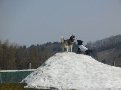 welina-dogpark