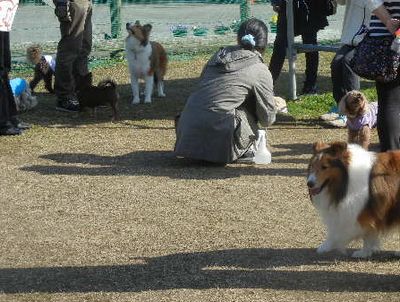 welina-dogpark