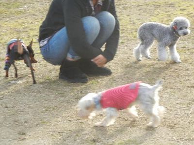 welina-dogpark