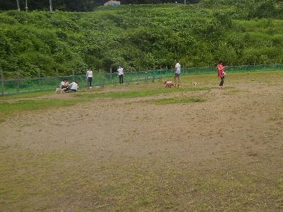 welina-dogpark