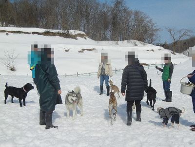 welina-dogpark