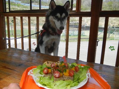 welina-dogpark