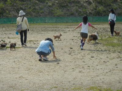 welina-dogpark