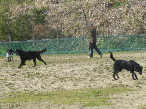 welina-dogpark